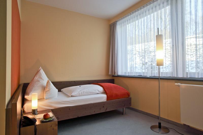 Hotel Forsthaus Gruena Betreiber Gmbh شيمنيتز المظهر الخارجي الصورة